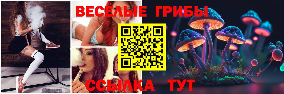 Галлюциногенные грибы Psilocybe  Псилоцибиновые грибы Magic Shrooms  где найти наркотики  Вход с VPN  Урус-Мартан 